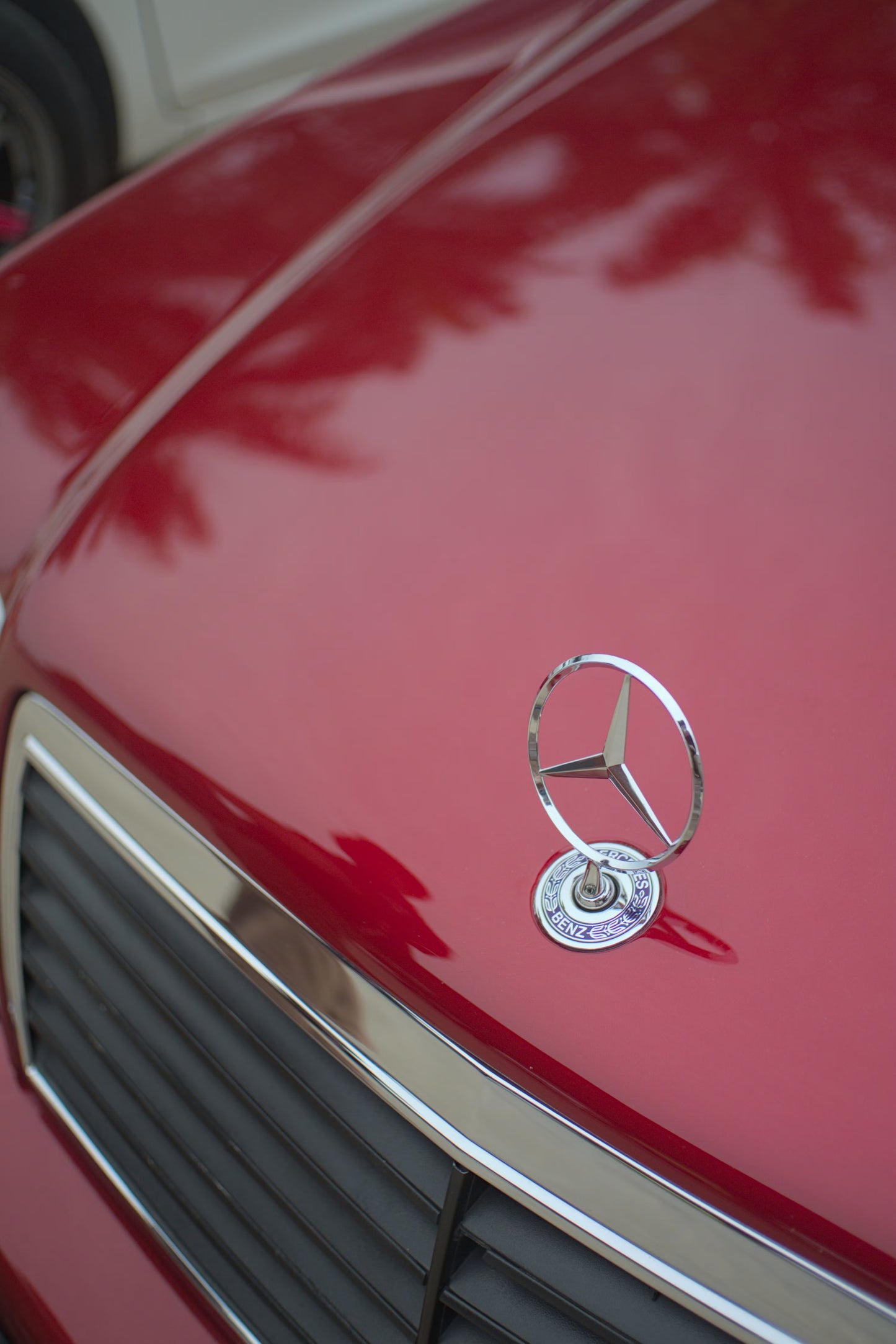Emblema capota Mercedes Benz